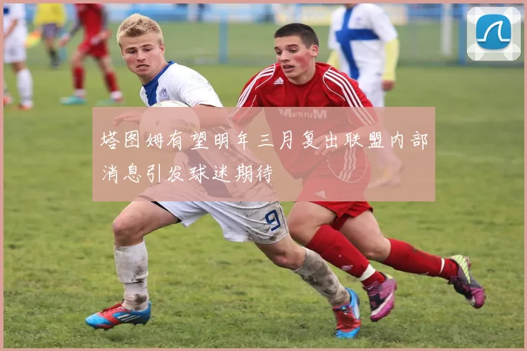 塔图姆有望明年三月复出联盟内部消息引发球迷期待