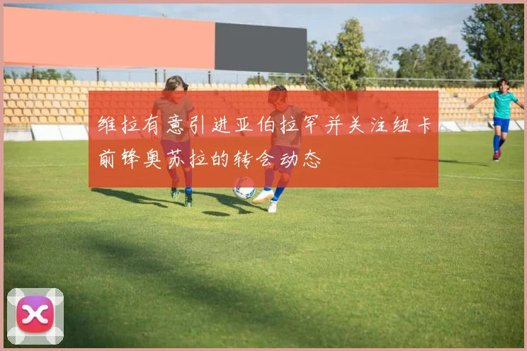 维拉有意引进亚伯拉罕并关注纽卡前锋奥苏拉的转会动态