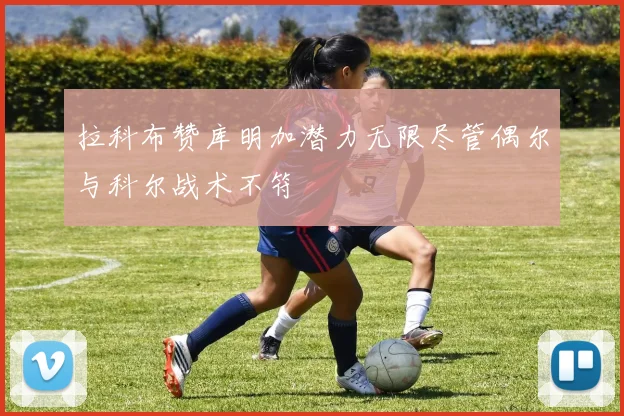 拉科布赞库明加潜力无限尽管偶尔与科尔战术不符