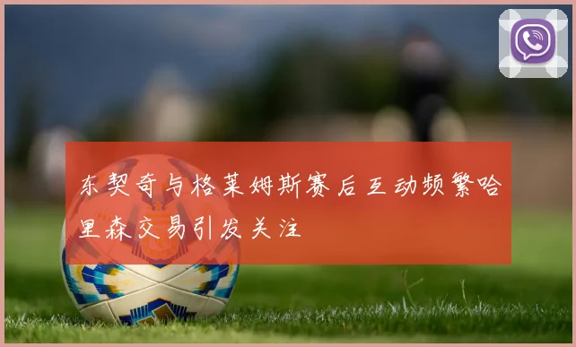 东契奇与格莱姆斯赛后互动频繁哈里森交易引发关注